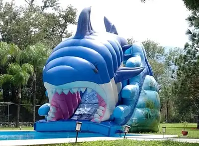 Inflables & Producciones SKY  photo 4