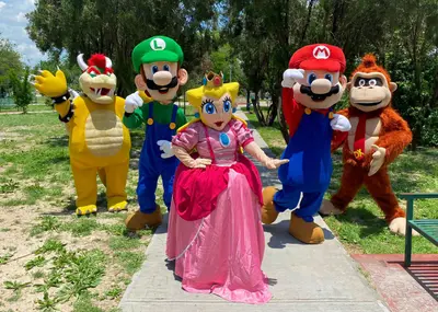 Safarinfos Shows Infantiles photo 4