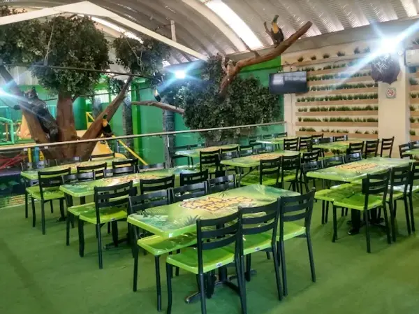 Portada de Jungle Kids Tlalpan