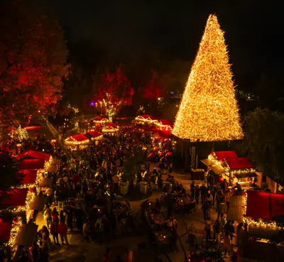 Navidalia - Parque Temático photo 3