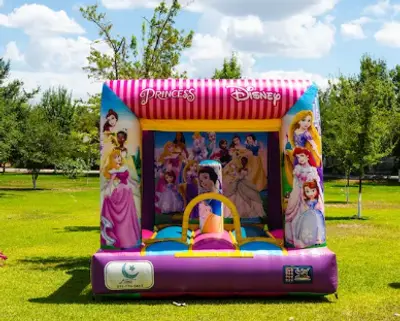 Superinflables.mx photo 2