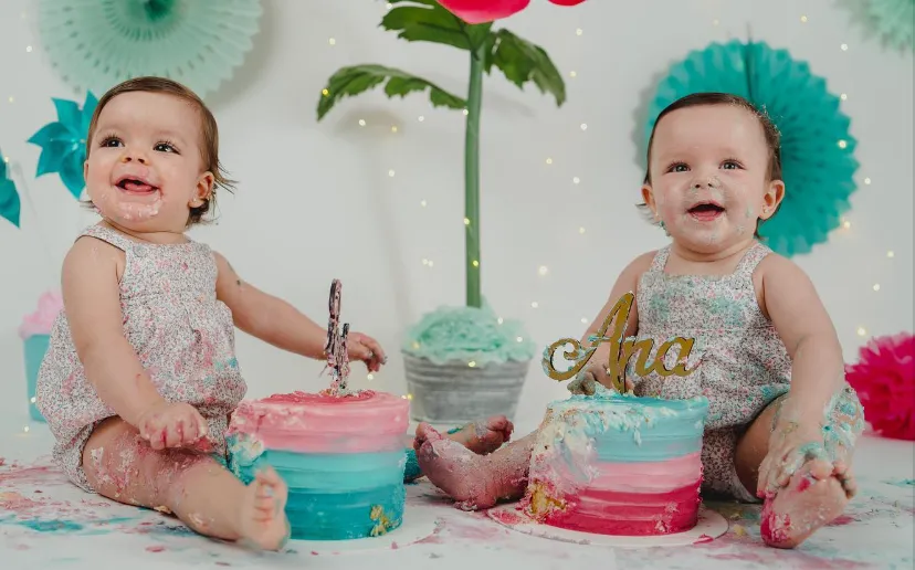 Cherry & Monkey Photo