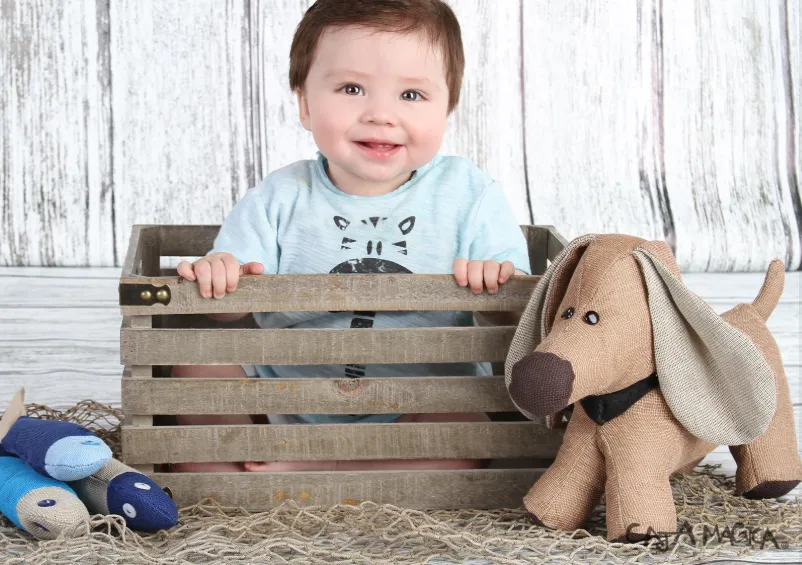 Caja Mágica Cumbres Monterrey thumbnail 2