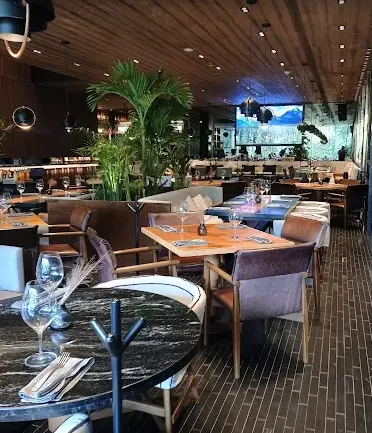 Sonora Prime Roma Condesa thumbnail 4