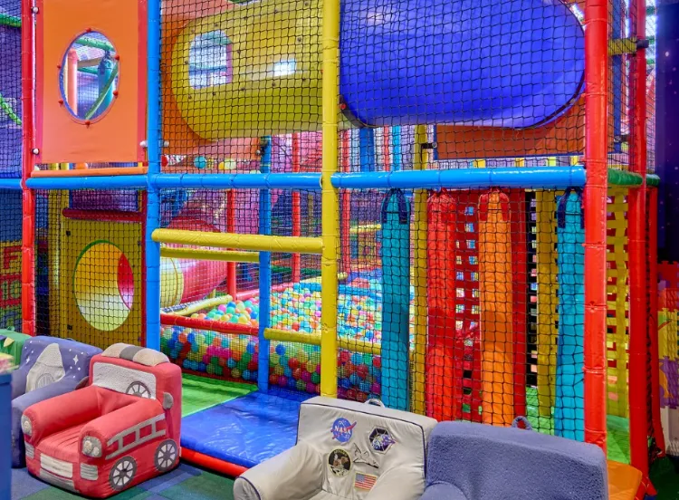 Mr. Pampas Mérida thumbnail 3