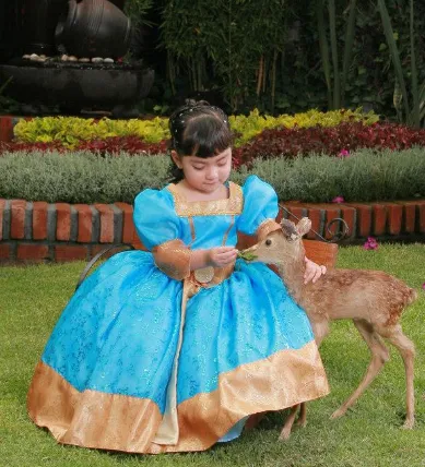 Estudios Fotográficos Tena thumbnail 5